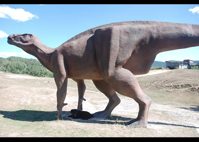 イン Rural Del Medico *